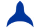 Bubble Image